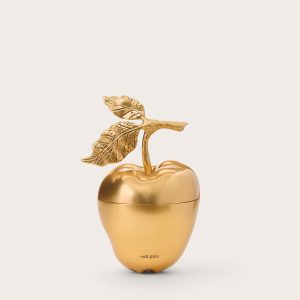 MELA CLUTCH - ANTIQUE BRASS