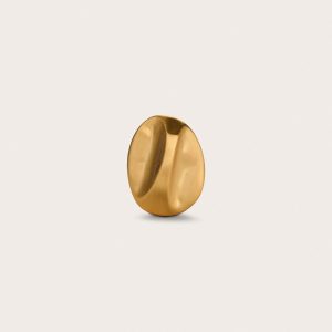 VEDA RING - BRUSHED BRASS